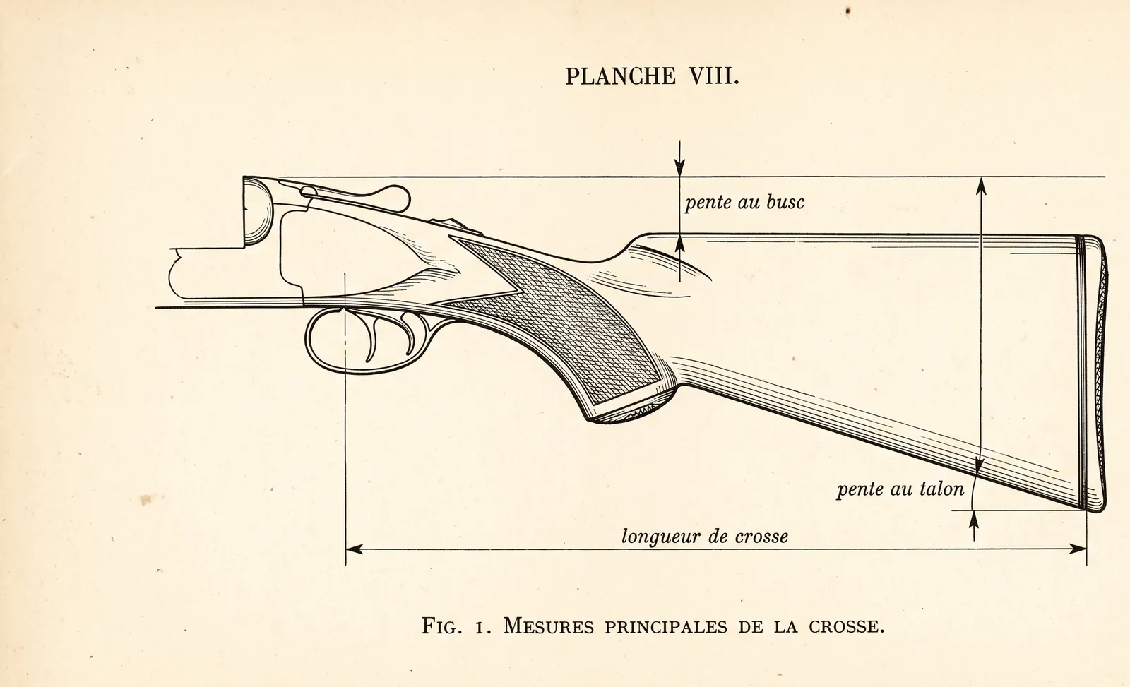 Planche technique de style ancien : mesures principales de la crosse, pente au busc, pente au talon, longueur de crosse