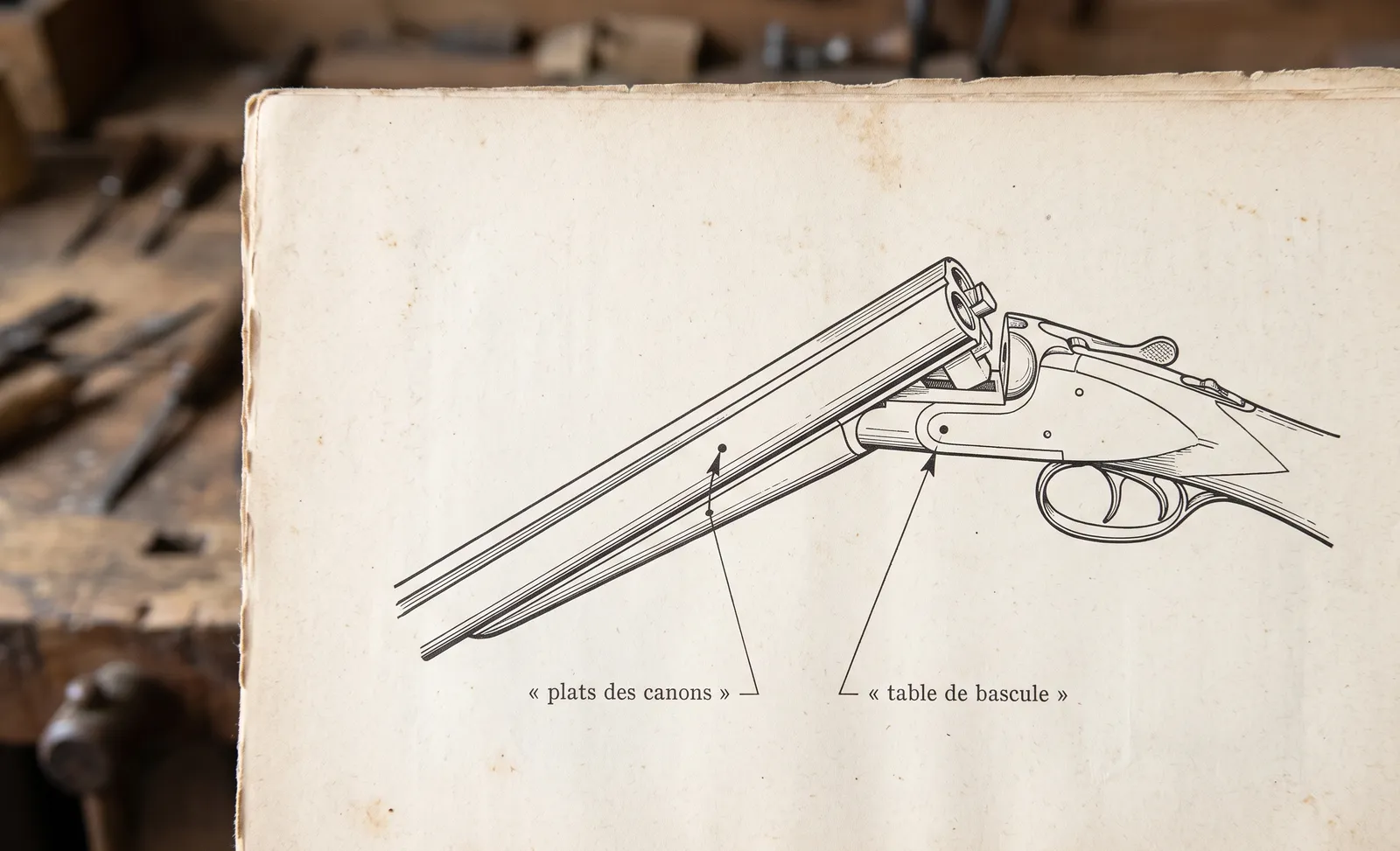 Planche de style ancien montrant où chercher les poinçons : plats des canons et table de bascule d'un fusil ouvert